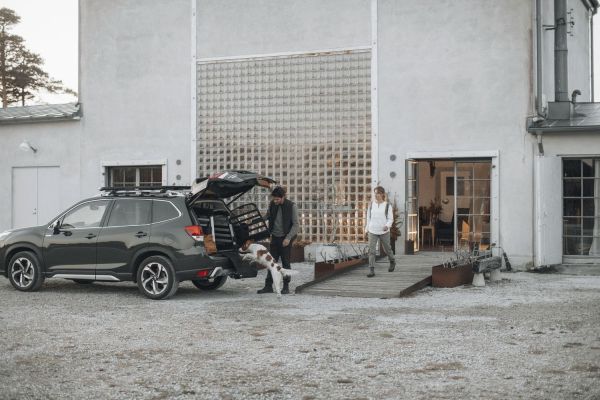 Thule Allax Dog Crates