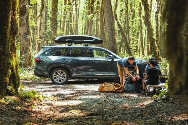 Thule Force 3 Roof Boxes