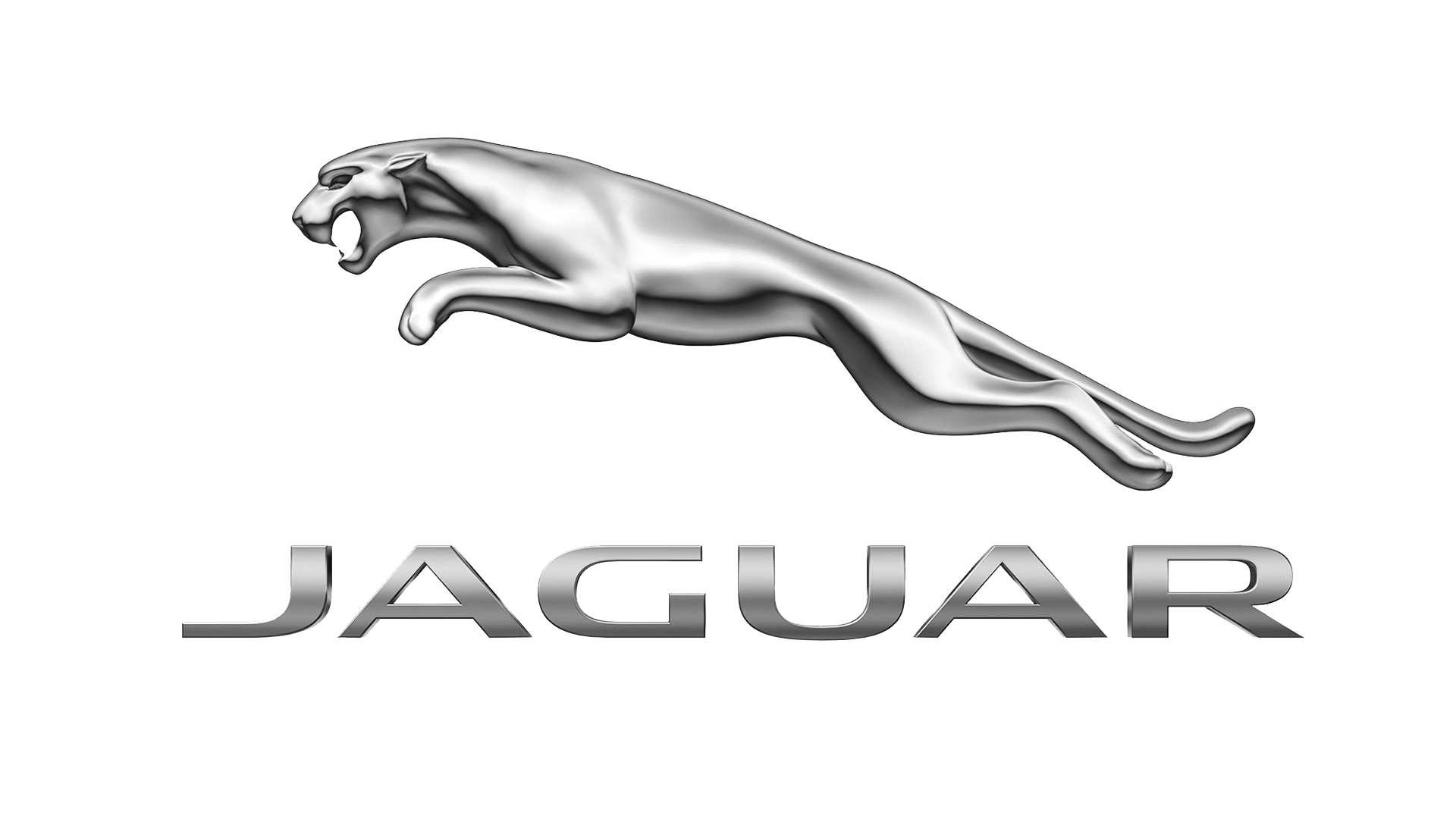 JAGUAR Roof Bars