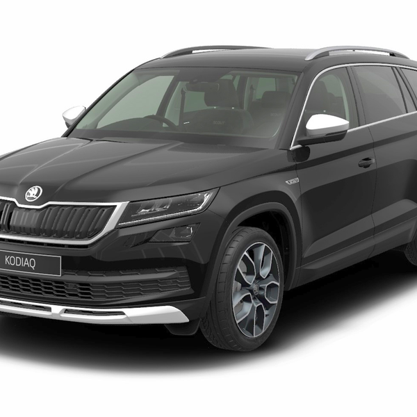 Kodiaq roof rack sale