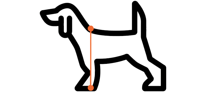 Dog crate buying guide step image