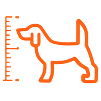 Measure your dog