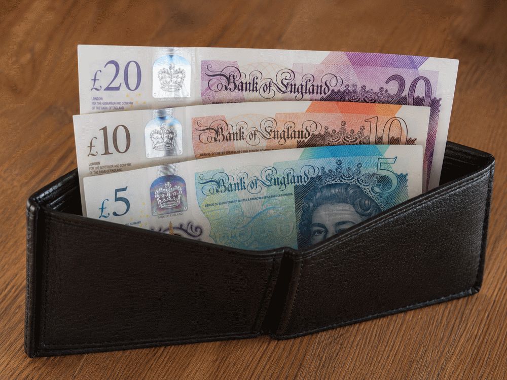 Dog crate buying guide step image