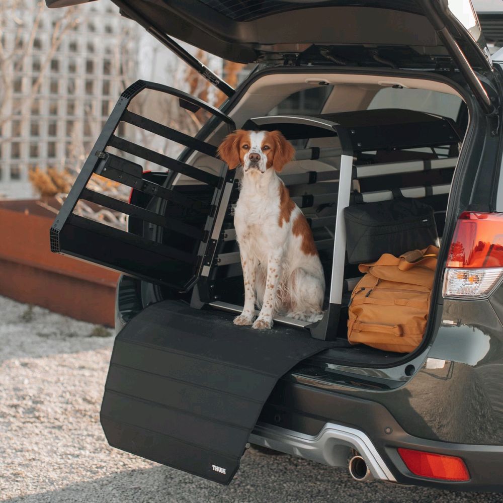 Dog Crates