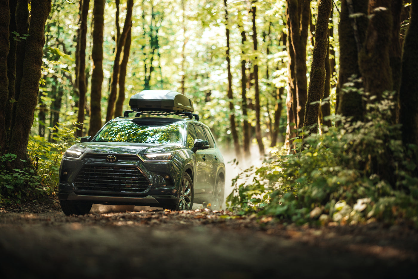 Roof mounted bike rack fitted to roof bars